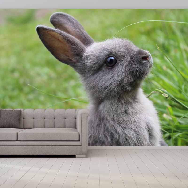 Horizontal  Photography Rabbit Wall Mural Decorative Mildew Resistant for Living Room