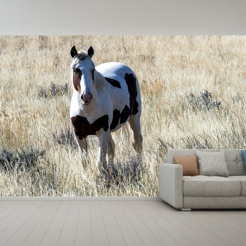 Horizontal  Photography Horse Wall Mural Decorative Mildew Resistant for Living Room