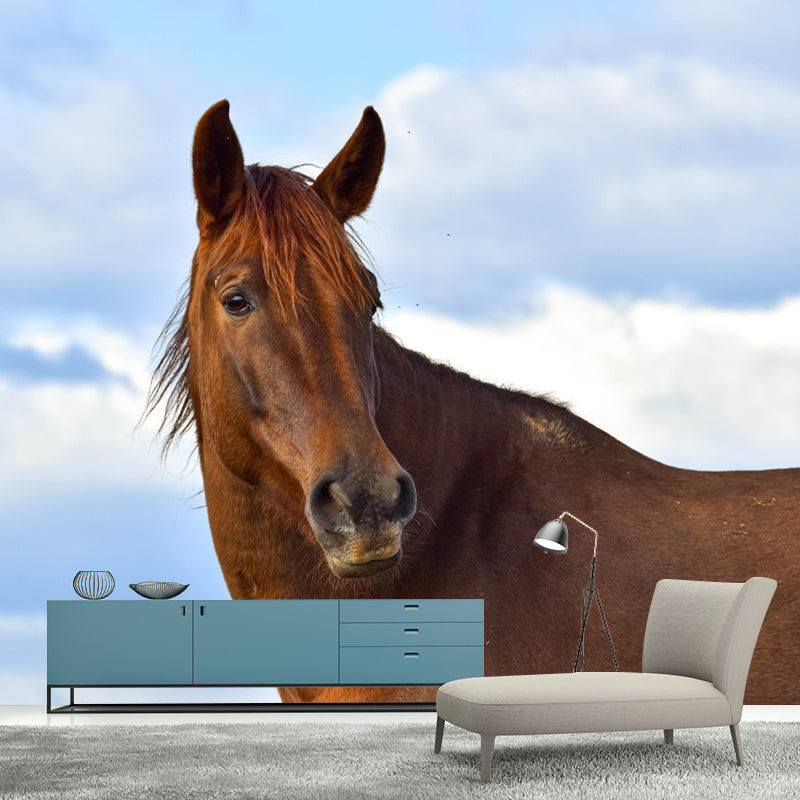 Horizontal  Photography Horse Wall Mural Decorative Mildew Resistant for Living Room
