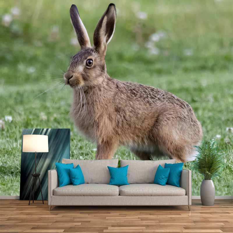 Horizontal  Photography Hare Wall Mural Decorative Mildew Resistant for Living Room