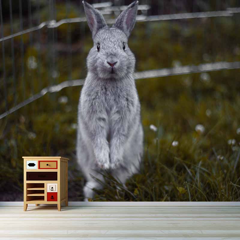 Horizontal  Photography Hare Wall Mural Decorative Mildew Resistant for Living Room