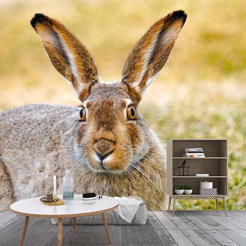 Horizontal  Photography Hare Wall Mural Decorative Mildew Resistant for Living Room