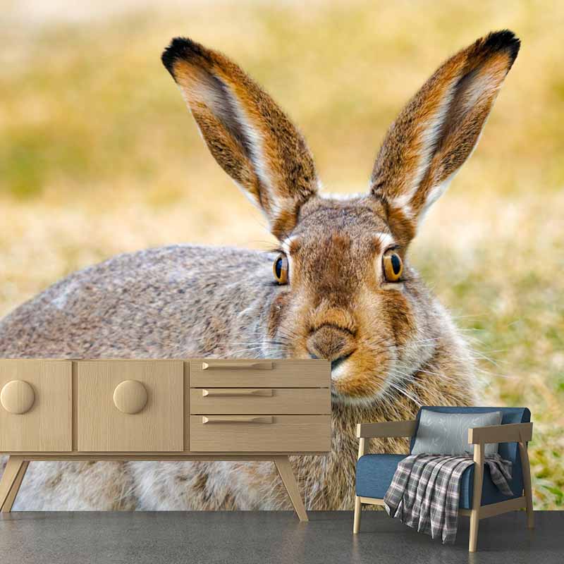 Horizontal  Photography Hare Wall Mural Decorative Mildew Resistant for Living Room