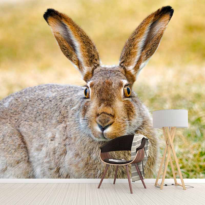 Horizontal  Photography Hare Wall Mural Decorative Mildew Resistant for Living Room