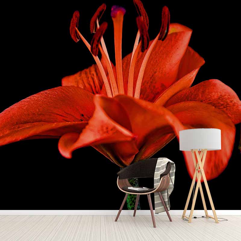 Horizontal  Photography Lily Wall Mural for Living Room Girls Women Bedroom