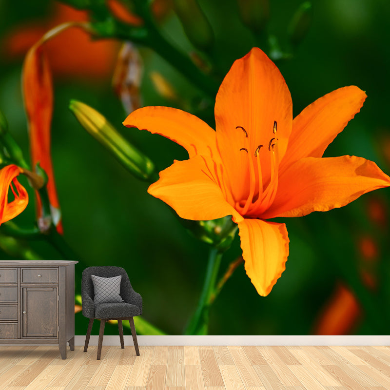 Horizontal  Photography Lily Wall Mural for Living Room Girls Women Bedroom