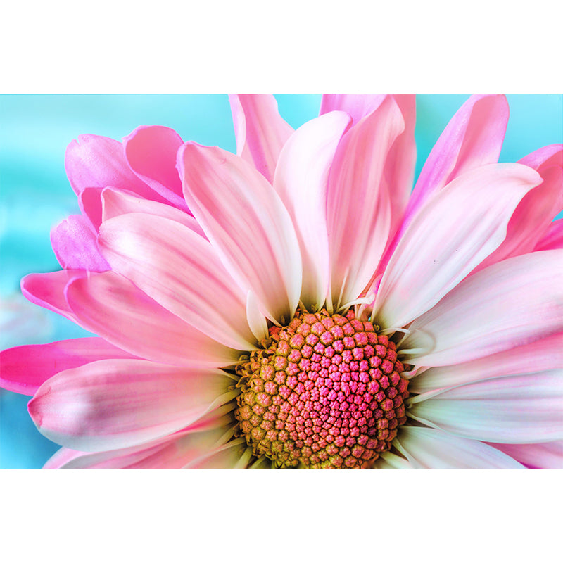 Customized Close Up Daisy Mural Environment Friendly Wallpaper for Guest Room