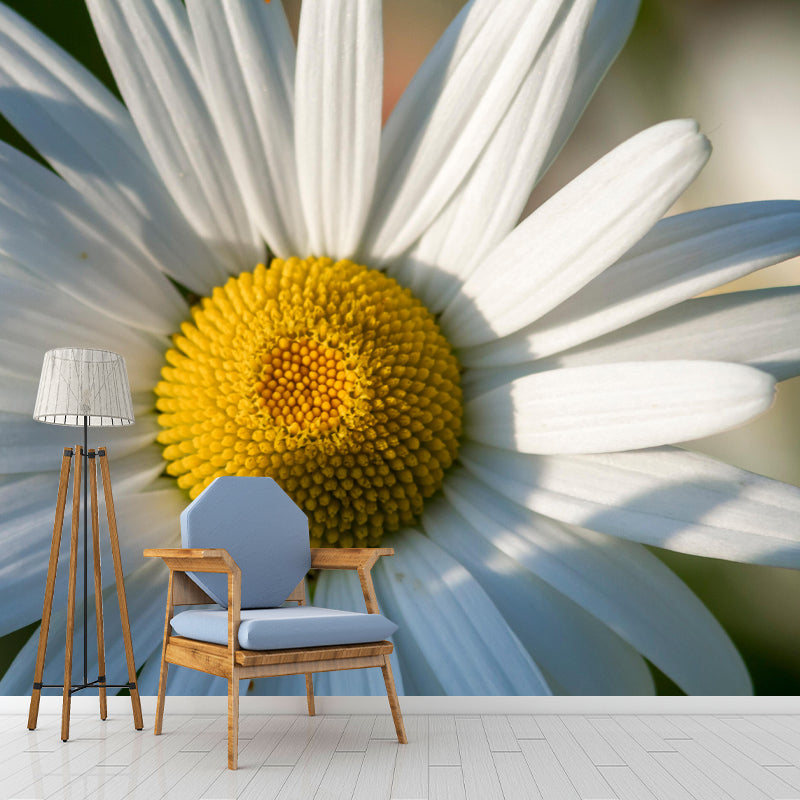 Customized Close Up Daisy Mural Environment Friendly Wallpaper for Guest Room