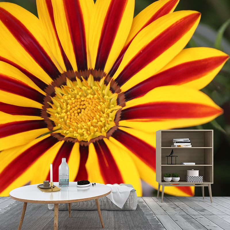 Customized Close Up Daisy Mural Environment Friendly Wallpaper for Guest Room