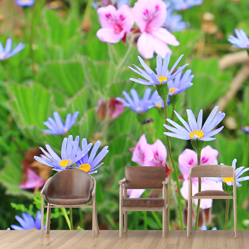 Horizontal Photography Daisy Wall Mural for Living Room Girls Women Bedroom