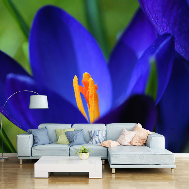 Horizontal Photography Crocus Wall Mural for Living Room Girls Women Bedroom
