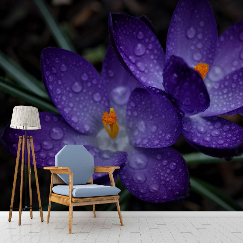 Horizontal Photography Dripping Crocus Wall Mural for Living Room Girls Women Bedroom