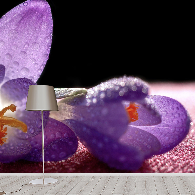 Horizontal Photography Dripping Crocus Wall Mural for Living Room Girls Women Bedroom