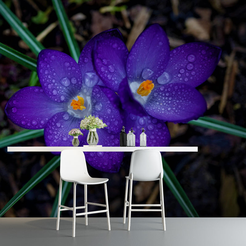Horizontal Photography Dripping Crocus Wall Mural for Living Room Girls Women Bedroom