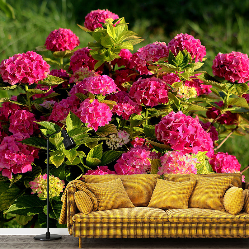 Horizontal Photography Hydrangea Bush Wall Mural for Living Room Girls Bedroom
