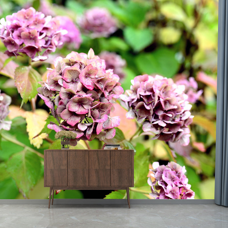 Horizontal Photography Hydrangea Bush Wall Mural for Living Room Girls Bedroom
