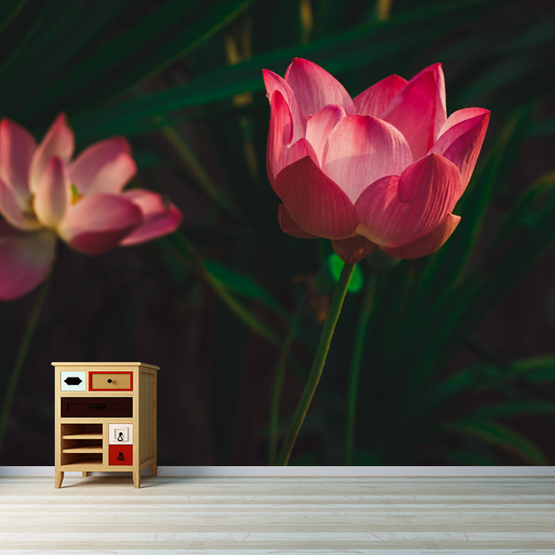 Horizontal Photography Lotus Wall Mural for Living Room Girls Women Bedroom