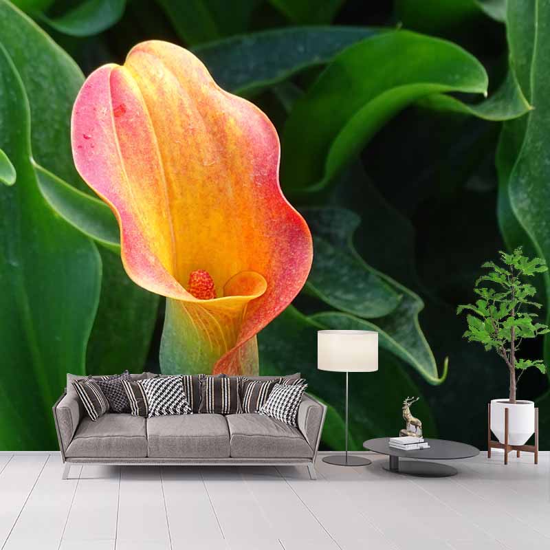 Horizontal Photography Calla Wall Mural for Living Room Girls Women Bedroom