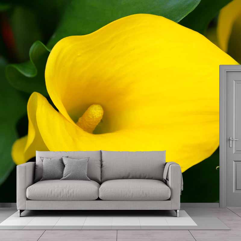 Horizontal Photography Calla Wall Mural for Living Room Girls Women Bedroom
