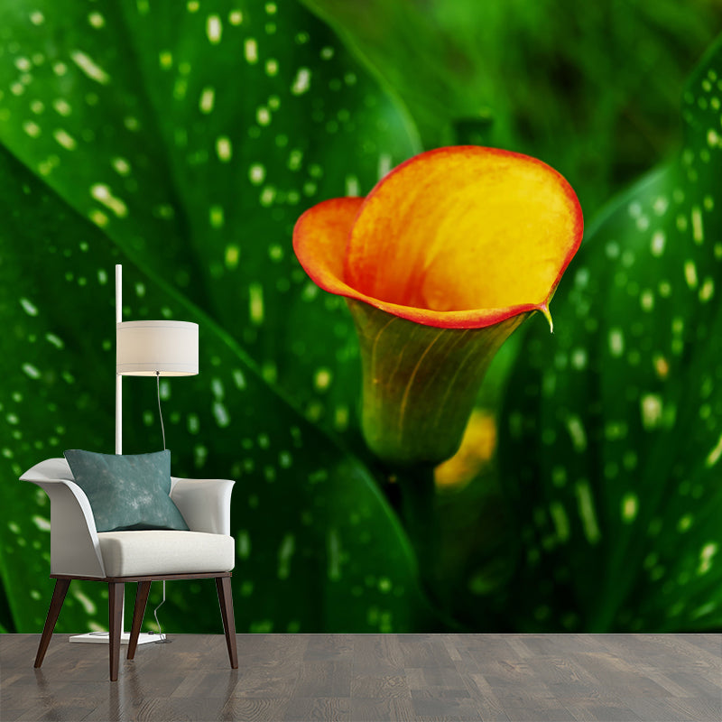 Horizontal Photography Calla Wall Mural for Living Room Girls Women Bedroom