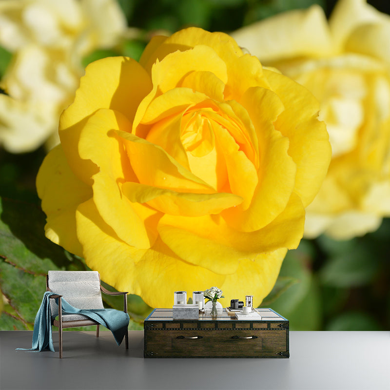 Customized Rose Wall Mural Environment Friendly Wallpaper for Guest Room Decoration