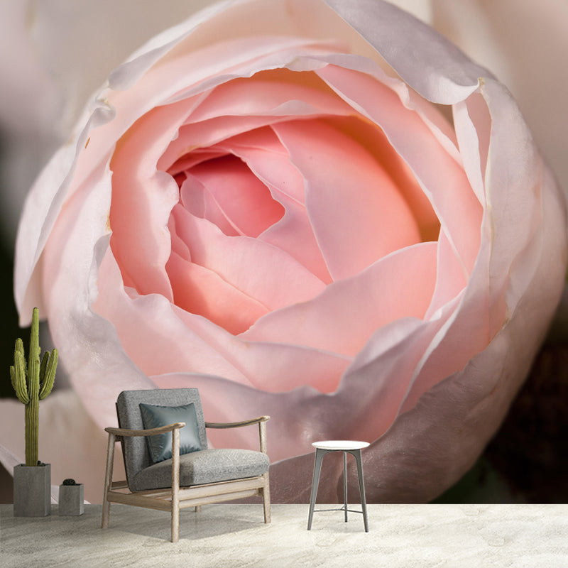 Horizontal Photography Rosaceae Wall Mural for Living Room Girls Bedroom