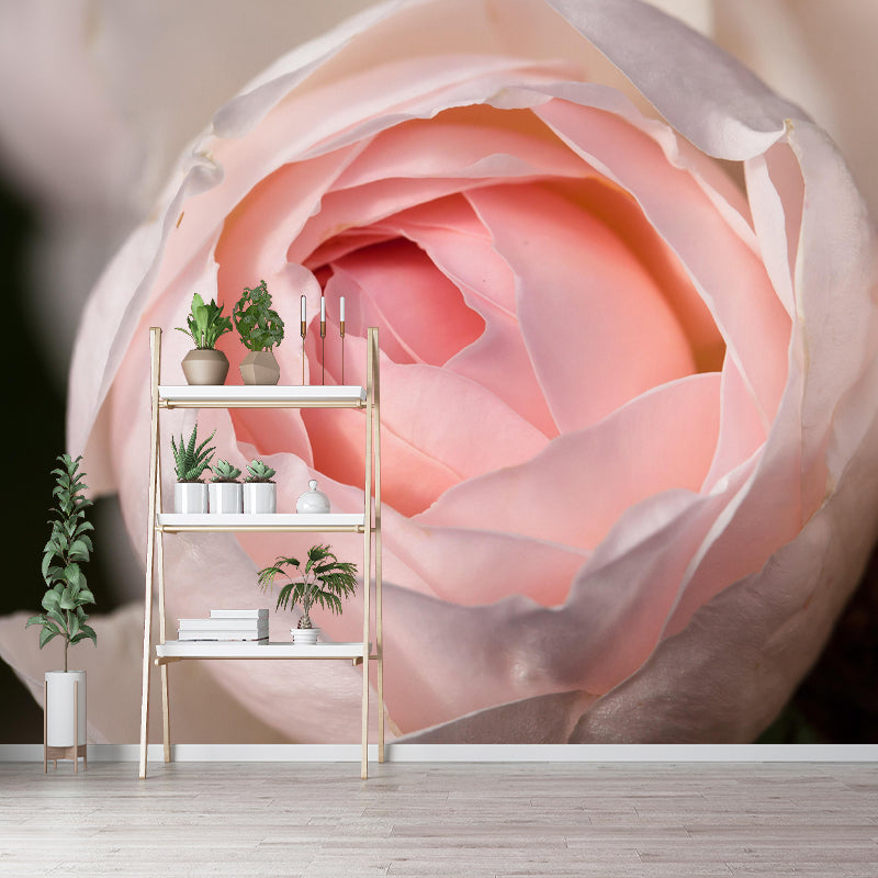 Horizontal Photography Rosaceae Wall Mural for Living Room Girls Bedroom