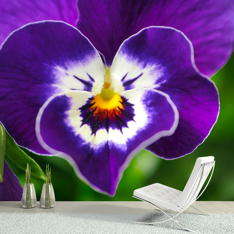 Horizontal Photography Pansy Wall Mural for Living Room Girls Women Bedroom