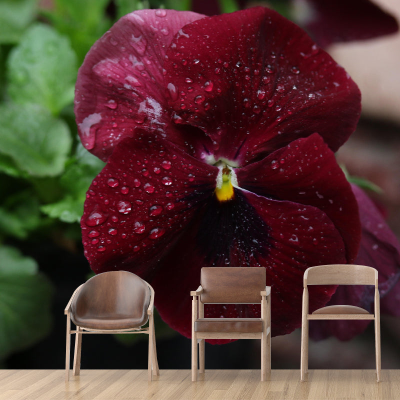 Horizontal Photography Pansy Wall Mural for Living Room Girls Women Bedroom