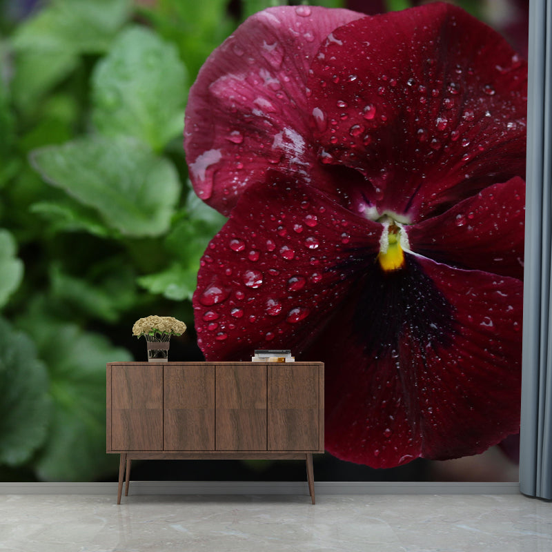 Horizontal Photography Pansy Wall Mural for Living Room Girls Women Bedroom