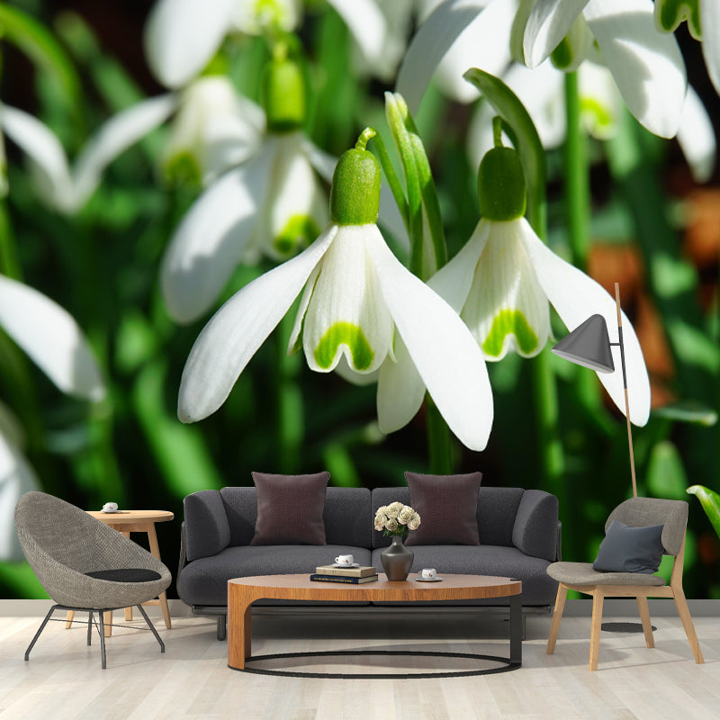 Horizontal Photography Snowdrops Wall Mural for Living Room Girls Women Bedroom