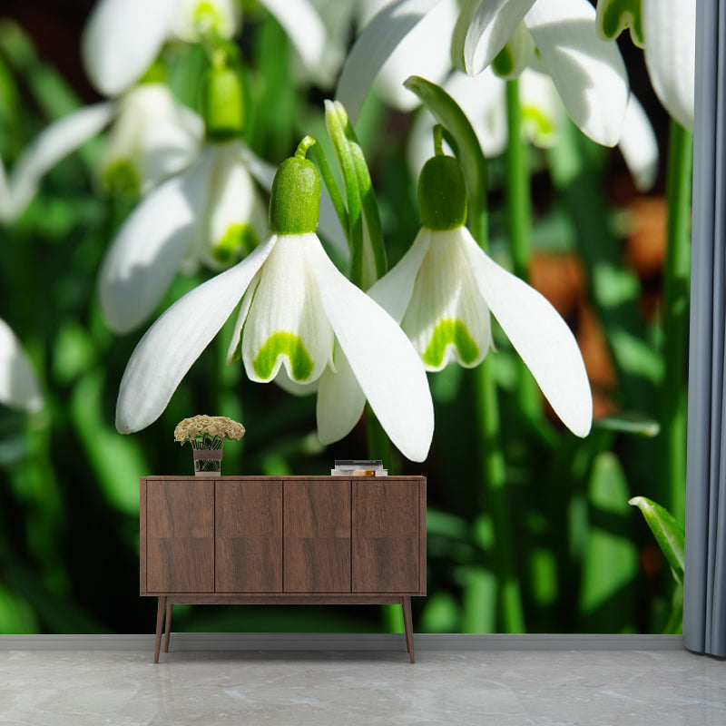 Horizontal Photography Snowdrops Wall Mural for Living Room Girls Women Bedroom
