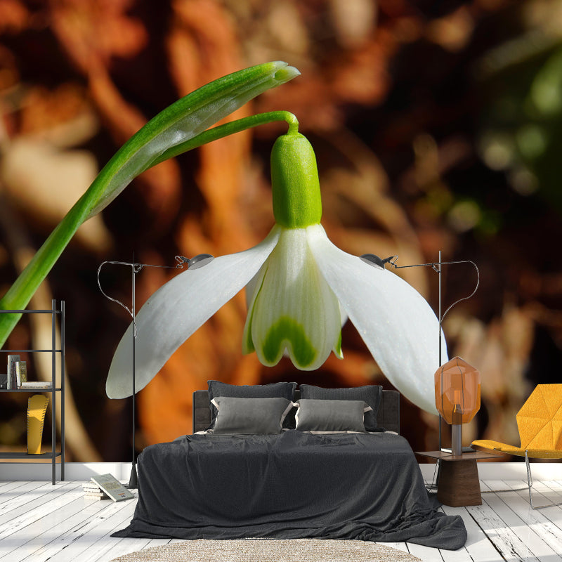 Horizontal Photography Snowdrops Wall Mural for Living Room Girls Women Bedroom