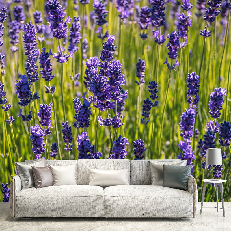Horizontal Photography Lavender Wall Mural for Living Room Girls Women Bedroom