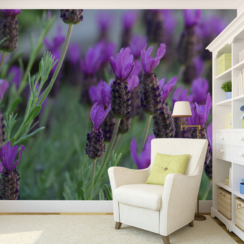 Horizontal Photography Lavender Wall Mural for Living Room Girls Women Bedroom