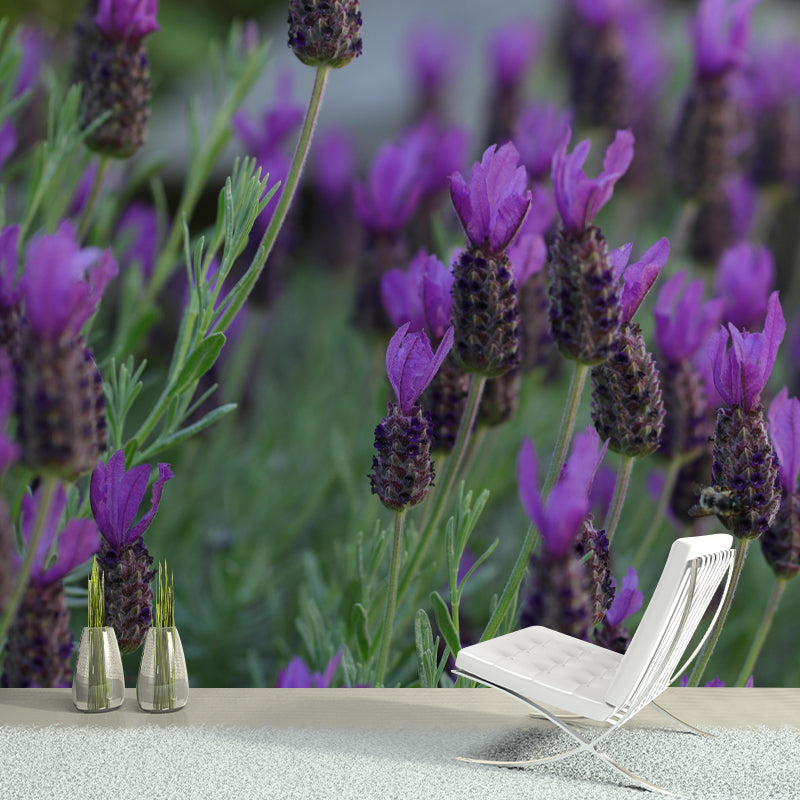 Horizontal Photography Lavender Wall Mural for Living Room Girls Women Bedroom