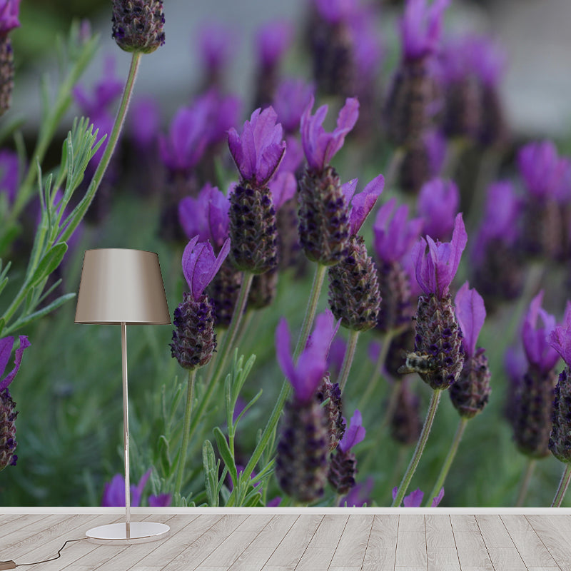 Horizontal Photography Lavender Wall Mural for Living Room Girls Women Bedroom