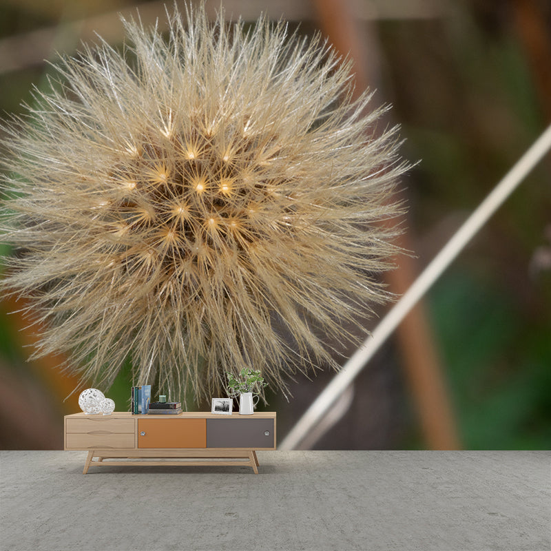 Dandelion Seeds Wall Mural Decal Moisture Resistant Home Decor in Light Color