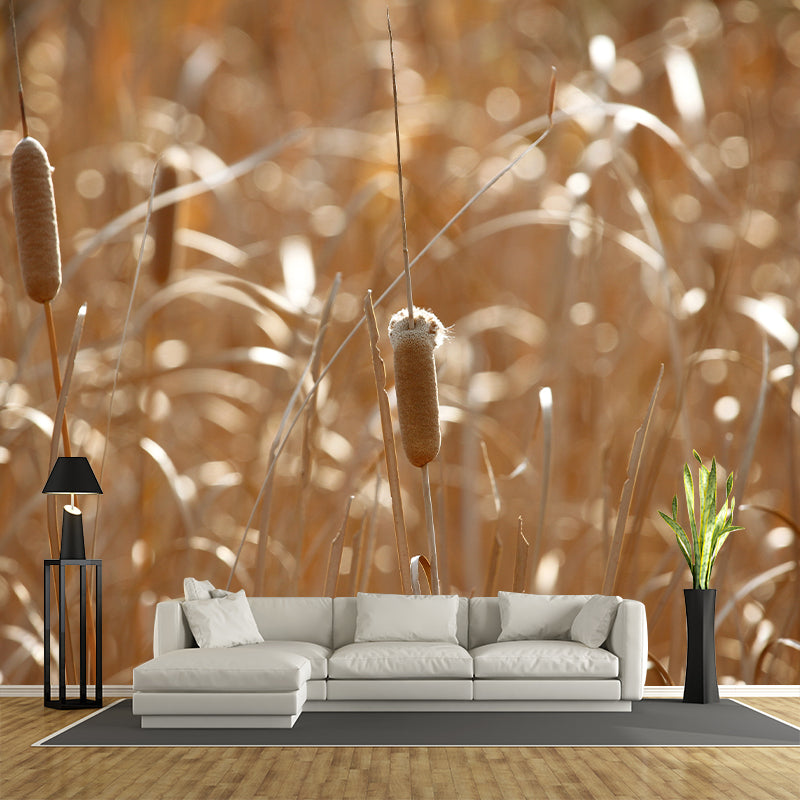 Reed Plant Mural Decal for Sleeping Room Customized Wall Covering, Waterproofing