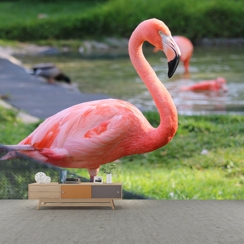 Tropical Flamingo Wall Decal Stain Resistant Murals Decoration for Bedroom