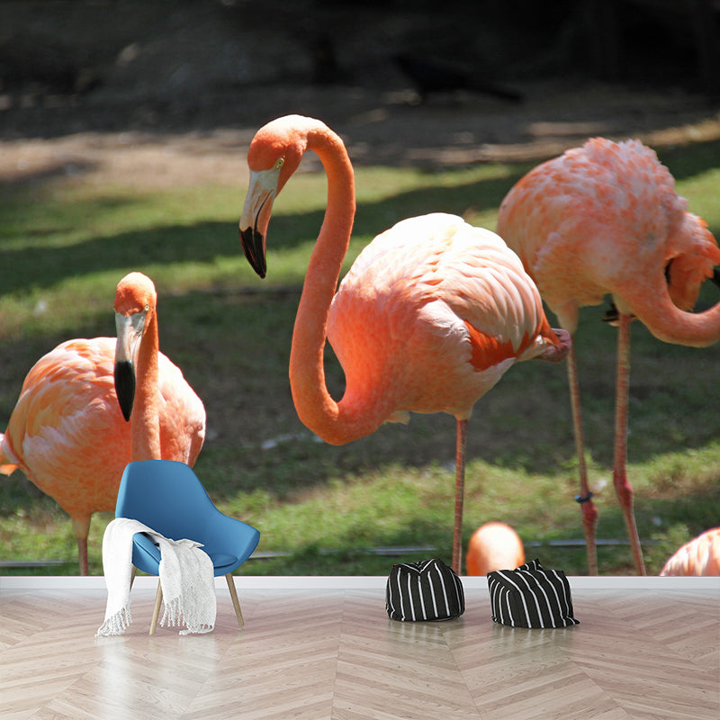Tropical Flamingo Wall Decal Stain Resistant Murals Decoration for Bedroom