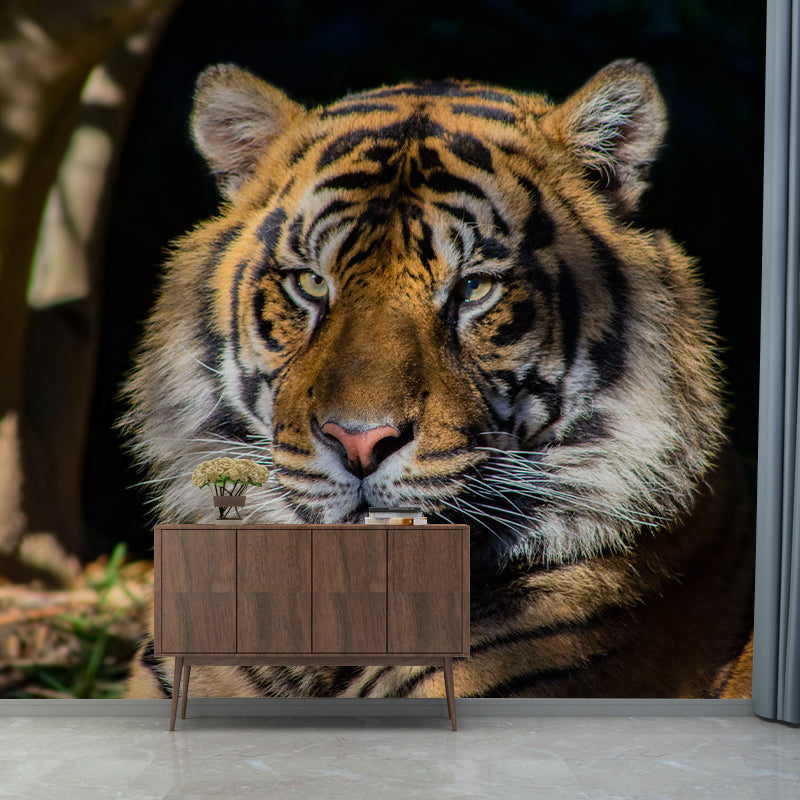 Tiger Animal Mural Wallpaper for Sitting Room Water Resistant, Made to Measure