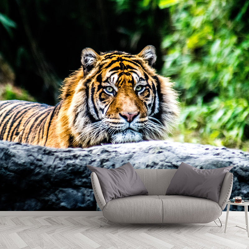 Tiger Animal Mural Wallpaper for Sitting Room Water Resistant, Made to Measure