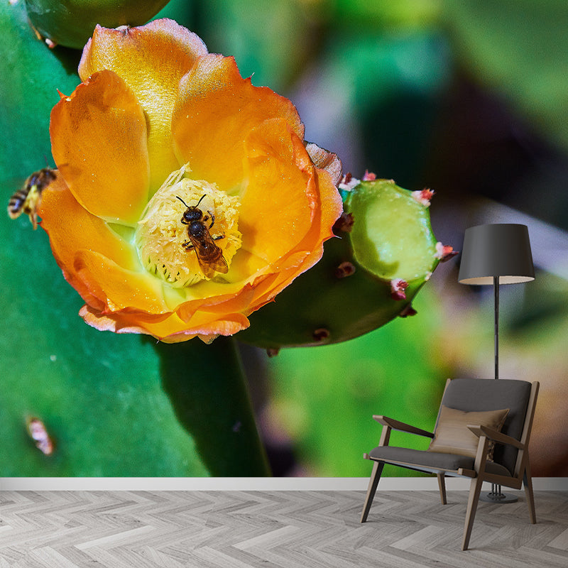 Cactus Plant Wall Mural Contemporary Home Decor for Sitting Room, Water Resistant