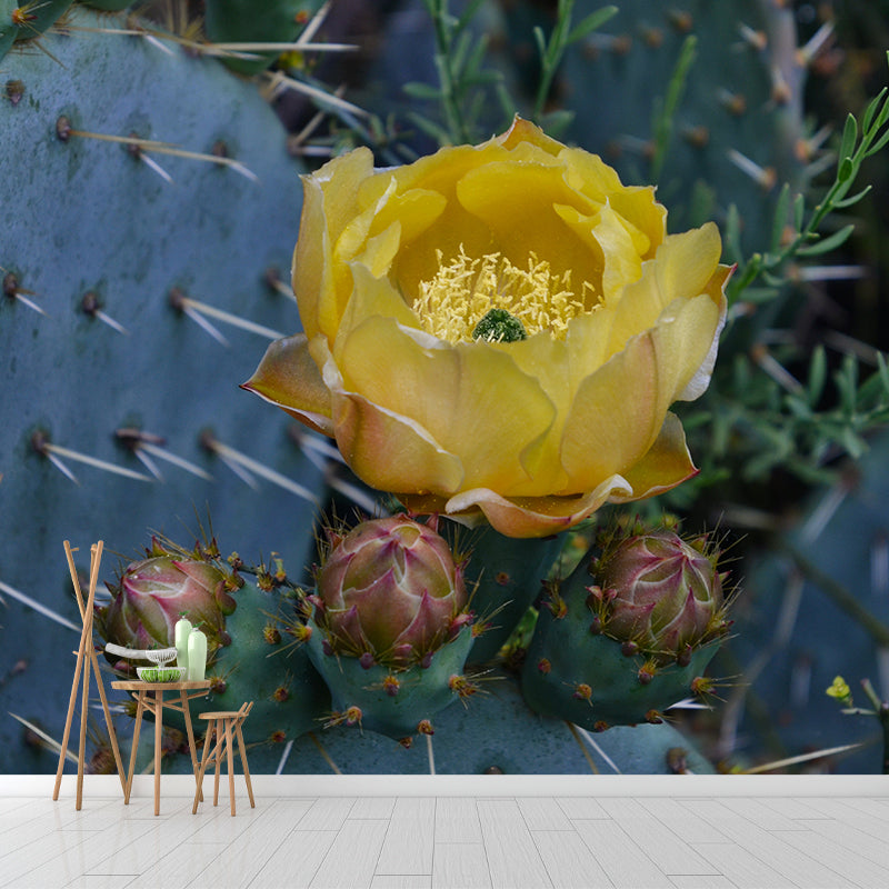 Cactus Plant Wall Mural Contemporary Home Decor for Sitting Room, Water Resistant