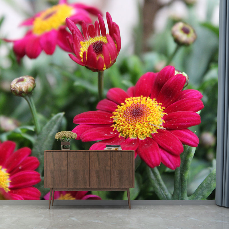 Blooming Flower Mural Modern Eco-friendly Wall Covering for Sitting Room