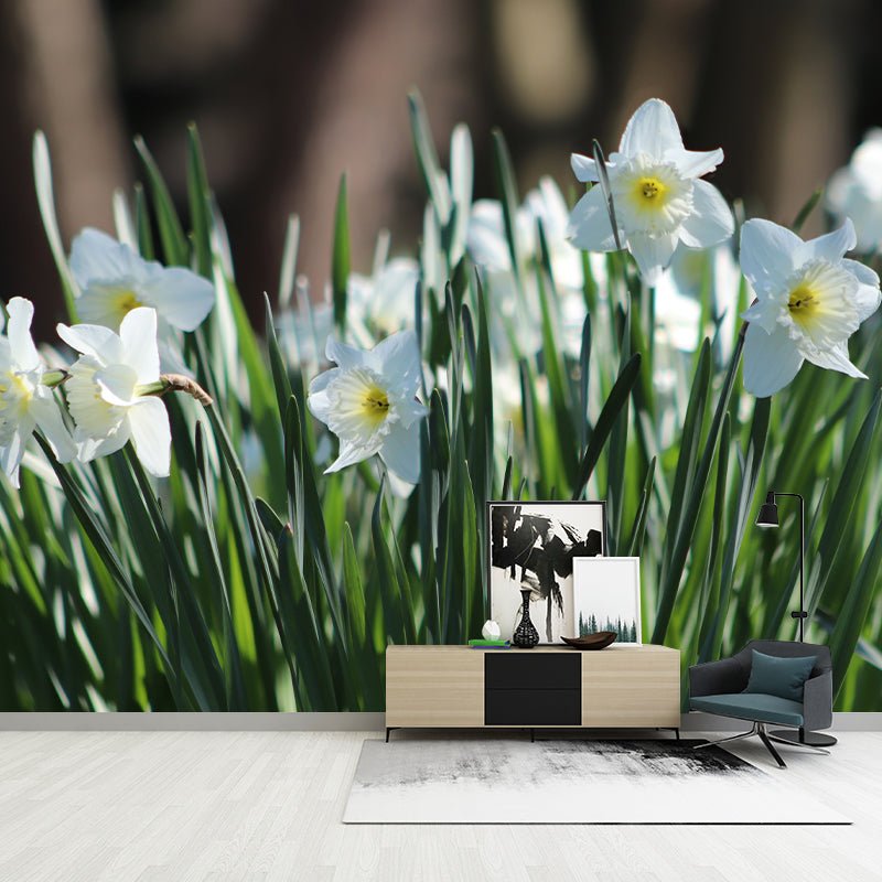 Blooming Daffodils Stain Resistant Wall Covering for Sleeping Room Decoration