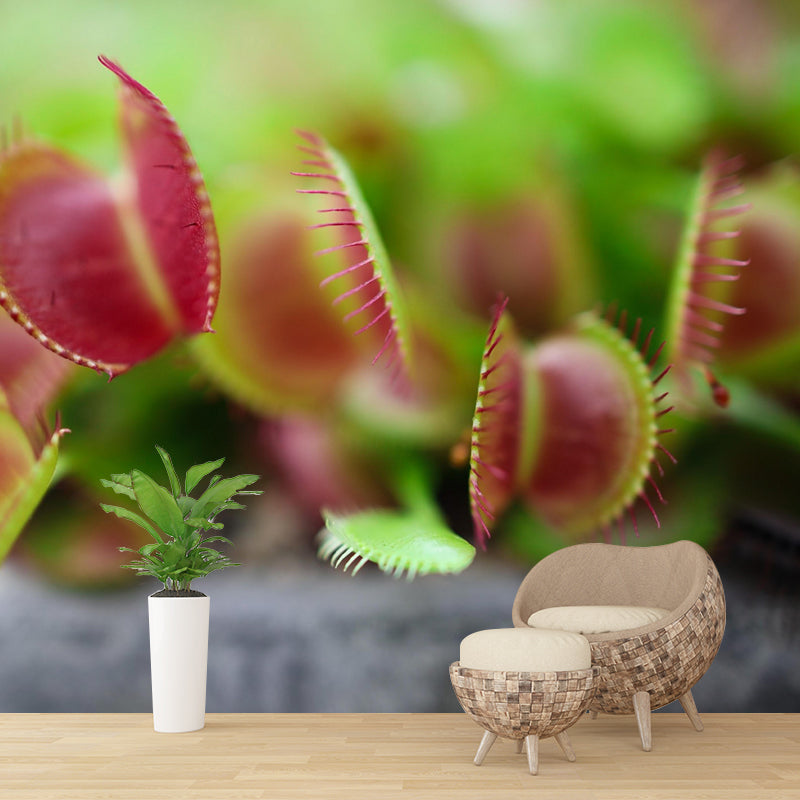 Contemporary Venus Flytrap Mural Environment Friendly Wallpaper for Living Room