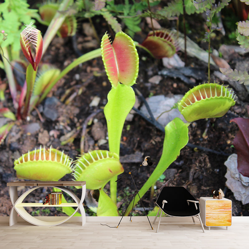 Contemporary Venus Flytrap Mural Environment Friendly Wallpaper for Living Room
