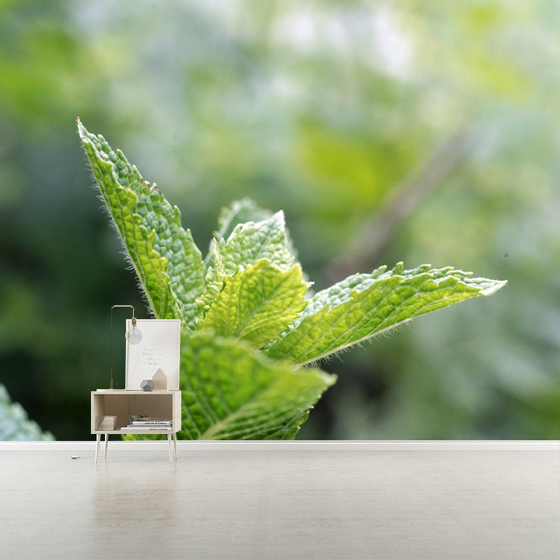 Contemporary Mint Mural Environment Friendly Wallpaper for Living Room